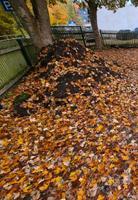 Wanduhr für die Zimmer