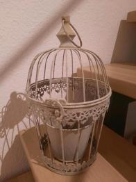 Pflanzgefäß zum Hängen