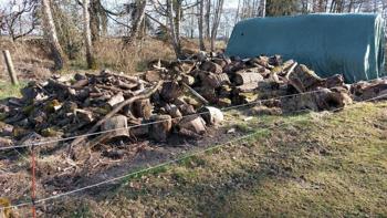 Brennholz/ Feuerholz zu verschenken. Genau lesen.