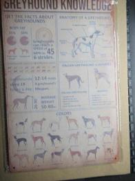 Greyhound Blechschild mit Infos 20x30 cm Windhund