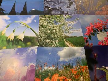 Zu Verschenken - Kalenderfotos