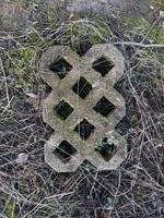 suche zum verschenken