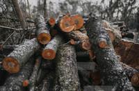 Suche Auflagenbox für Garten und Gartenmöbel