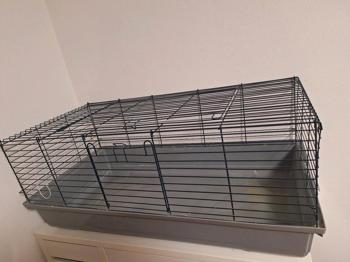 alles zu verschenken