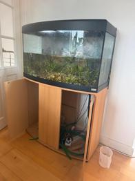Aquarium 180L mit Unterschrank ZU VERSCHENKEN