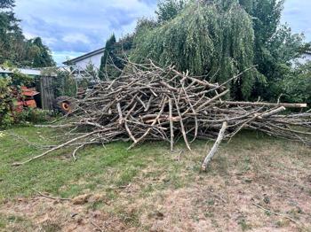 Holz große Äste zu verschenken