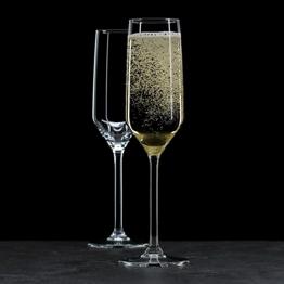 SUCHE 10x Sektgläser