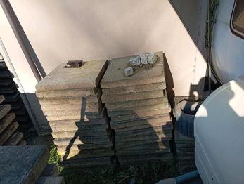 platen in Spangenberg