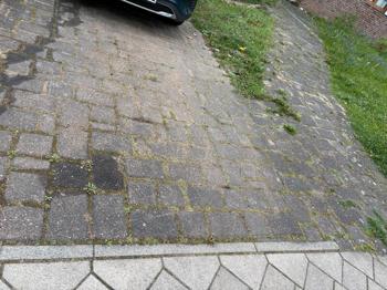 Ca 30 qm Pflastersteine zu verschenken