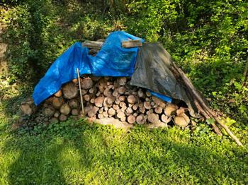 Brennholz Fichte an Selbstabholer zu  verschenken