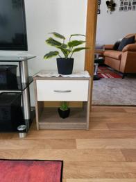 2x Nachtschwärmer  in gutem Zustand