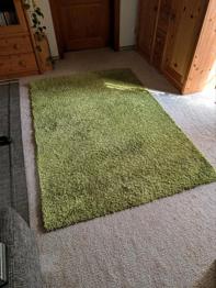 Teppich 200cm x 140cm Grün zu verschenken